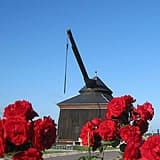 Weinverladekran in Oestrich
