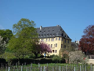 Schl�sser im Rheingau