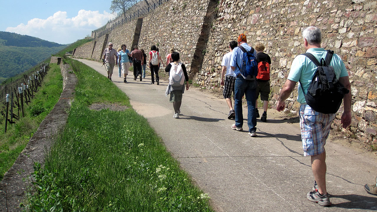 Historienweg bei Rüdesheim am Rhein
