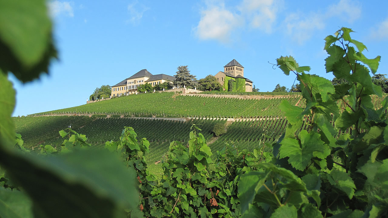 Die Weinlage Schloss Johannisberger