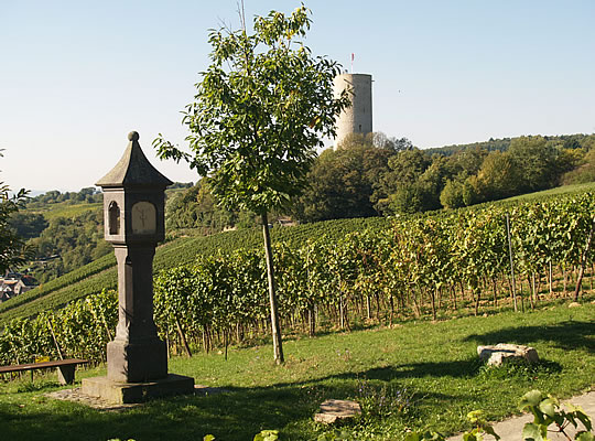 Blick auf Burg Scharfenstein bei Kiedrich