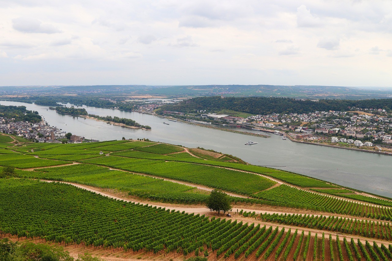 Der Rheingau mit seinen Weinbergen und einem enormen kulturellen Erbe ist ideal für Kultur-Camping.
