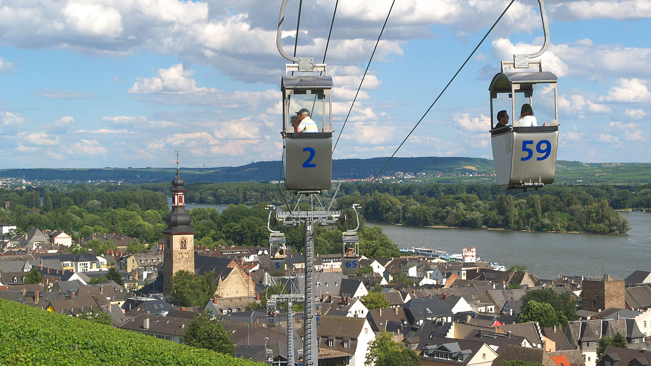 Über den Reben von Rüdesheim schweben