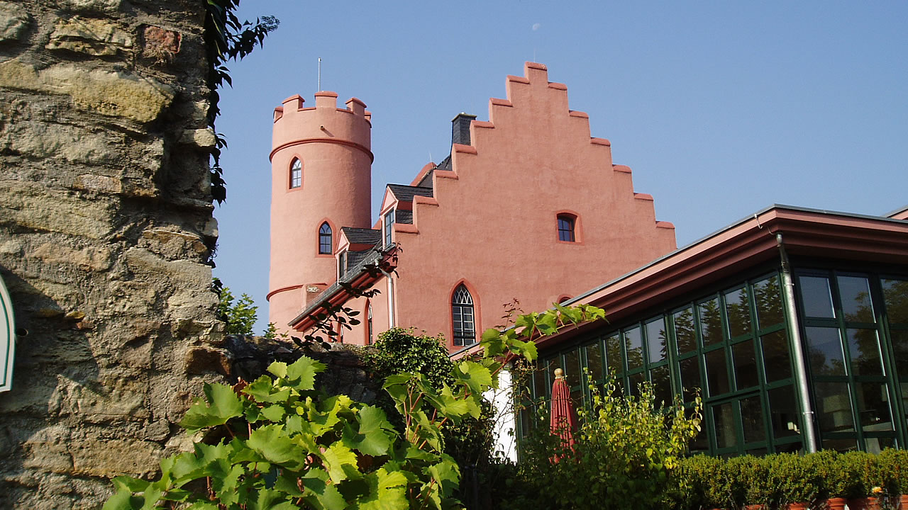 Burg Crass am Rheinufer in Eltville