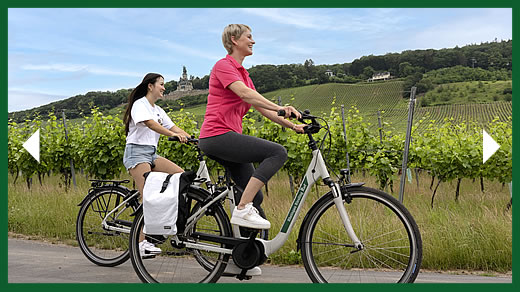 Rheingau-Rad