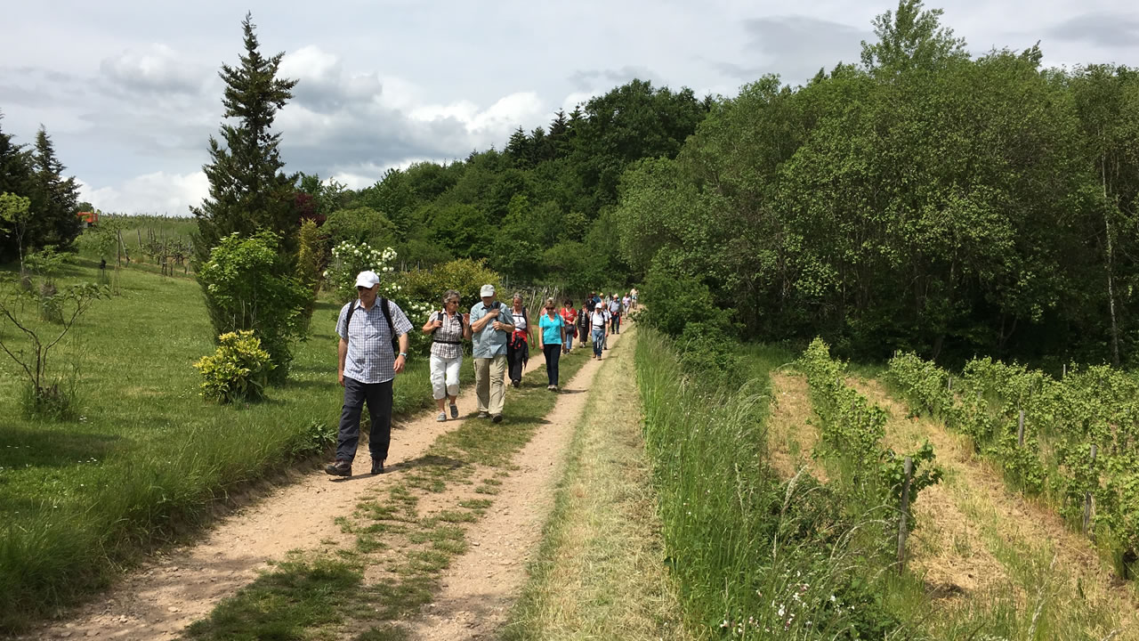 Flötenwandertage