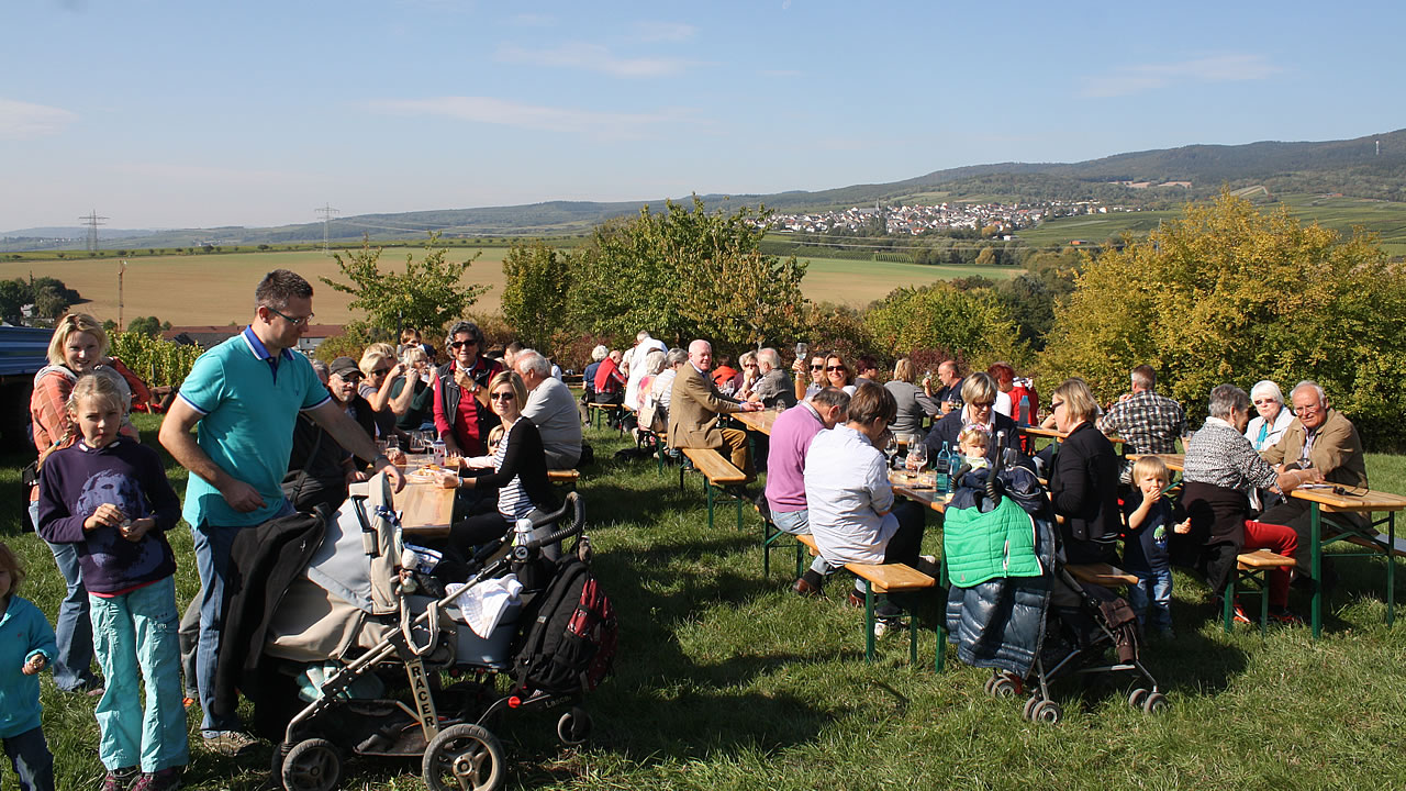 Natur Pur in den Weinbergen von Hattenheim