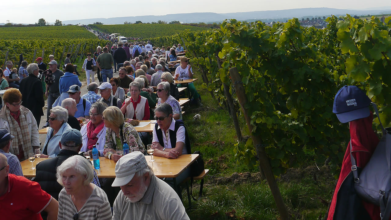 Natur Pur in den Weinbergen von Hattenheim