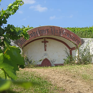 Hattenheimer Weinlage Nussbrunnen