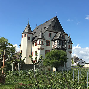 Schloss Schönborn in Geisenheim