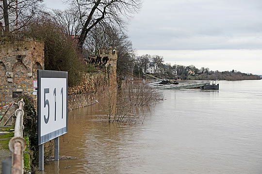 Hochwasser am Rhein