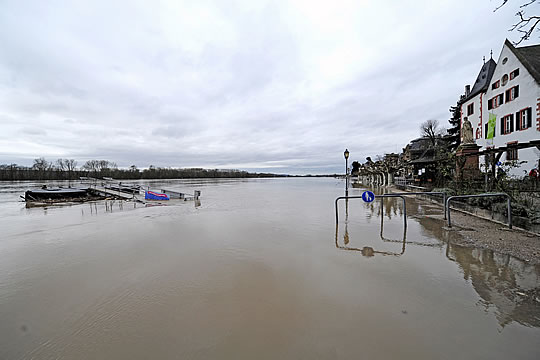 Hochwasser am Rhein