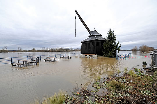 Hochwasser am Rhein