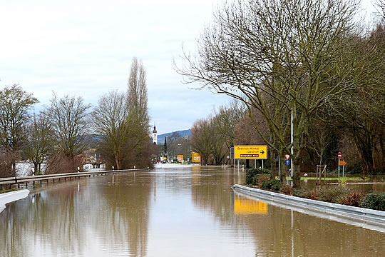Hochwasser am Rhein
