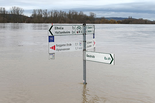 Hochwasser am Rhein