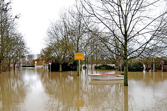 Hochwasser am Rhein