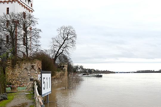 Hochwasser am Rhein
