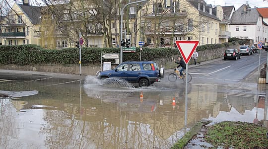 Hochwasser am Rhein