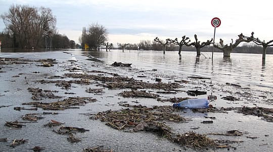 Hochwasser am Rhein