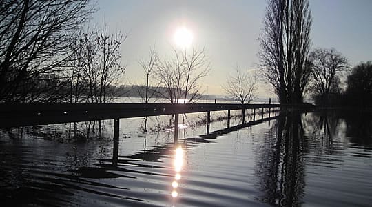 Hochwasser am Rhein