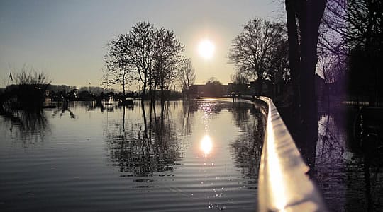 Hochwasser am Rhein