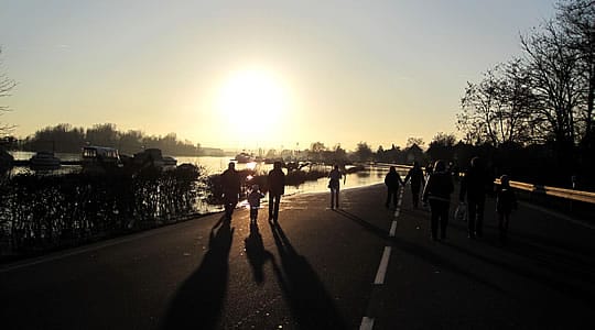 Hochwasser am Rhein