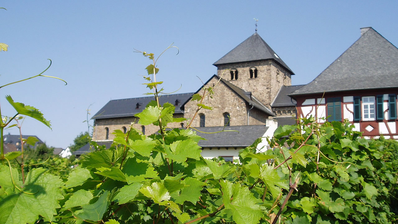 Die Basilika in Mittelheim