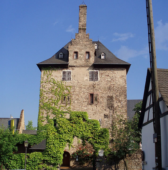 Die Burg in Hattenheim