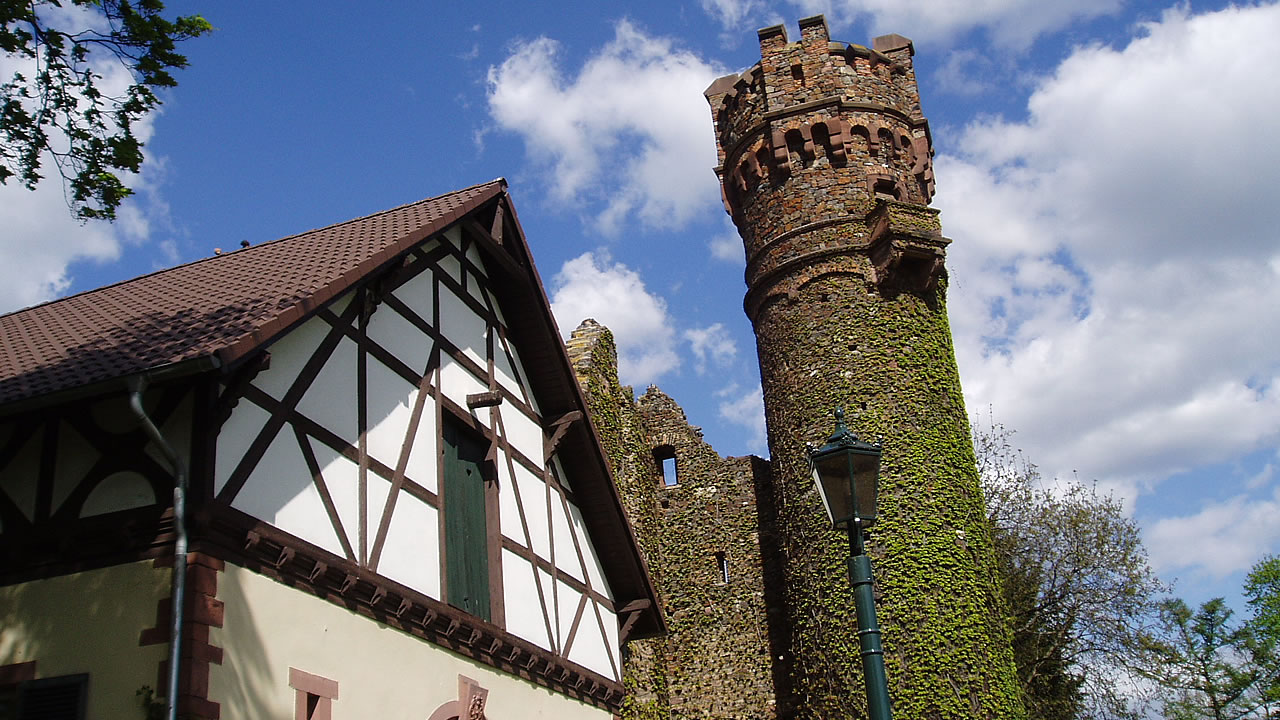 Schloss Reichartshausen in Hattenheim