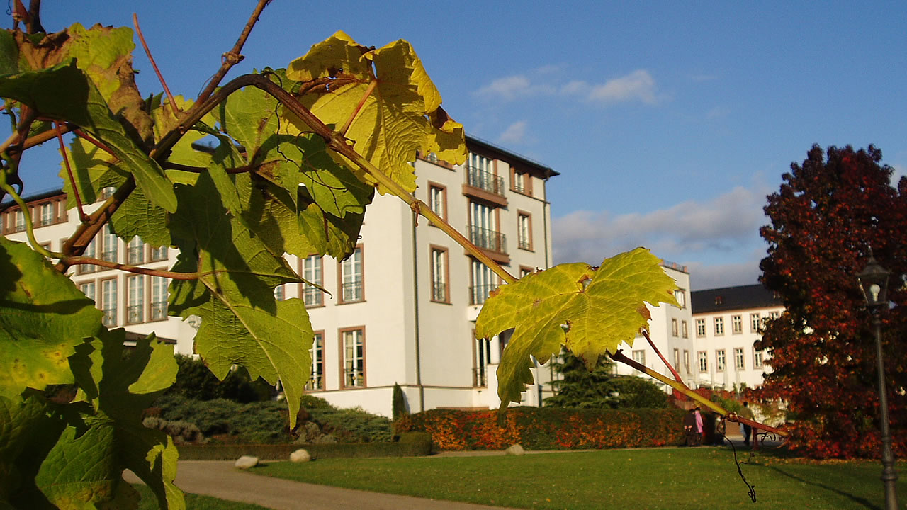 Schloss Reinhartshausen in Erbach