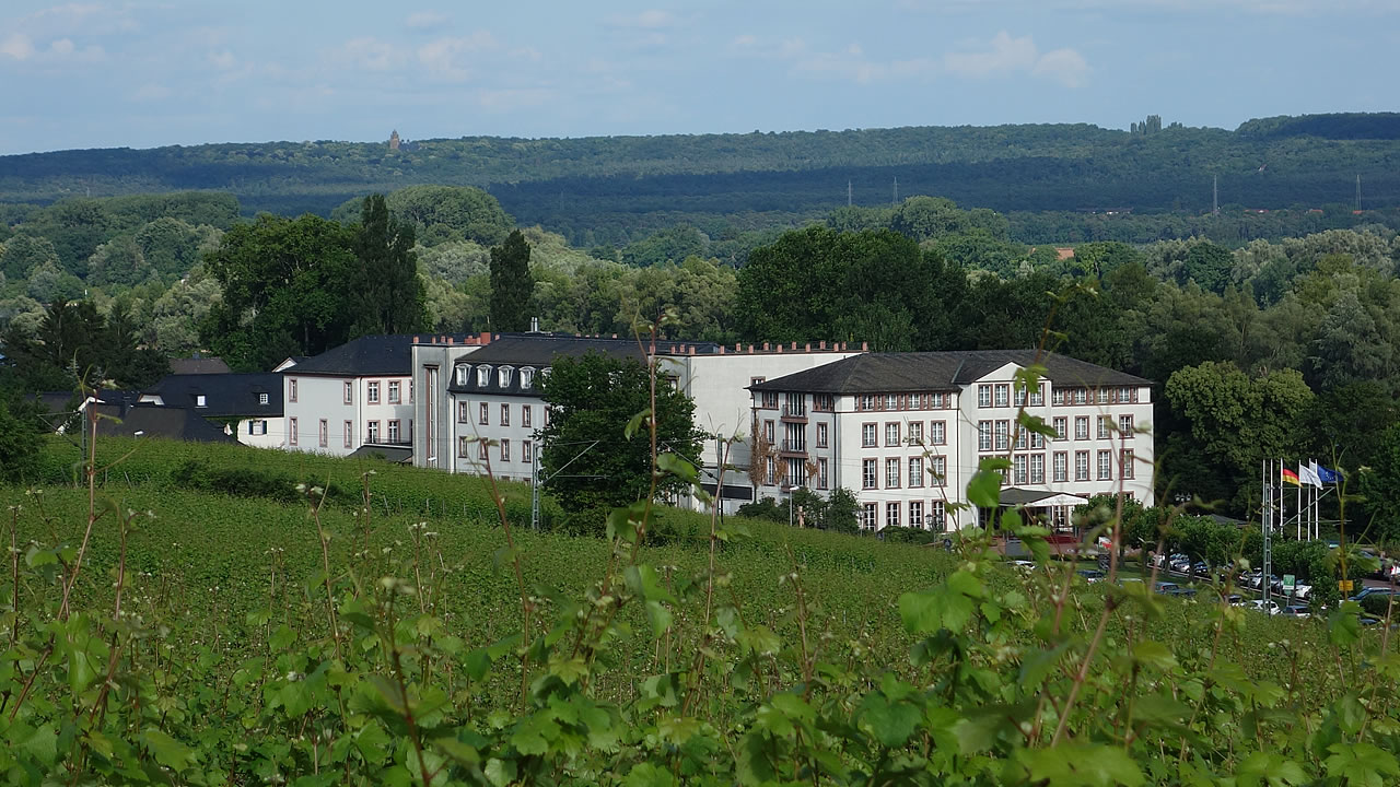 Schloss Reinhartshausen in Erbach