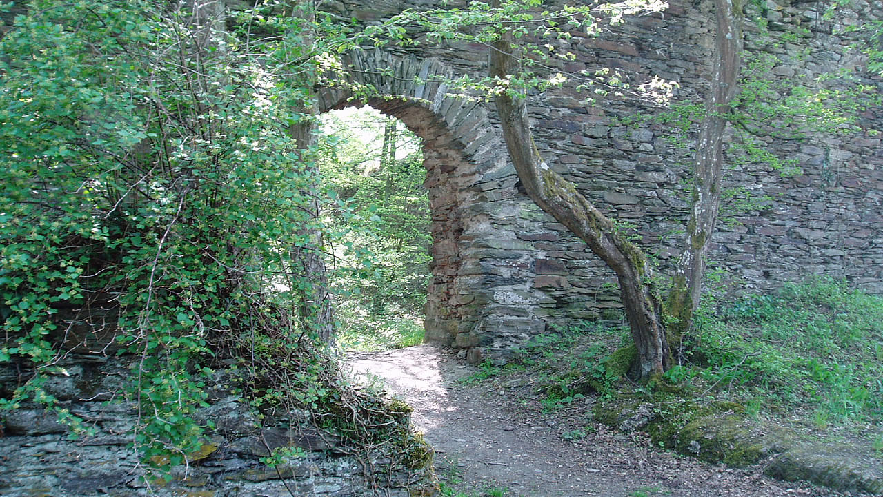 Burg Rheinberg