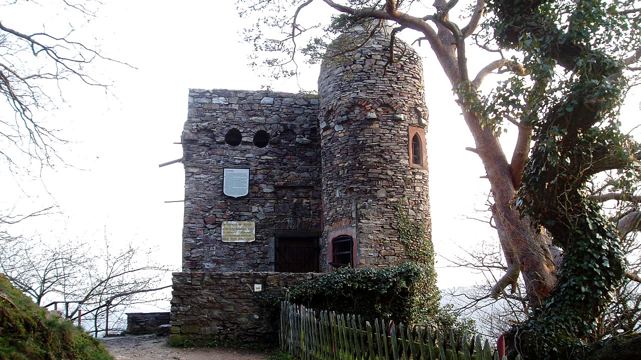 Die Burgruine Rossel am Niederwald