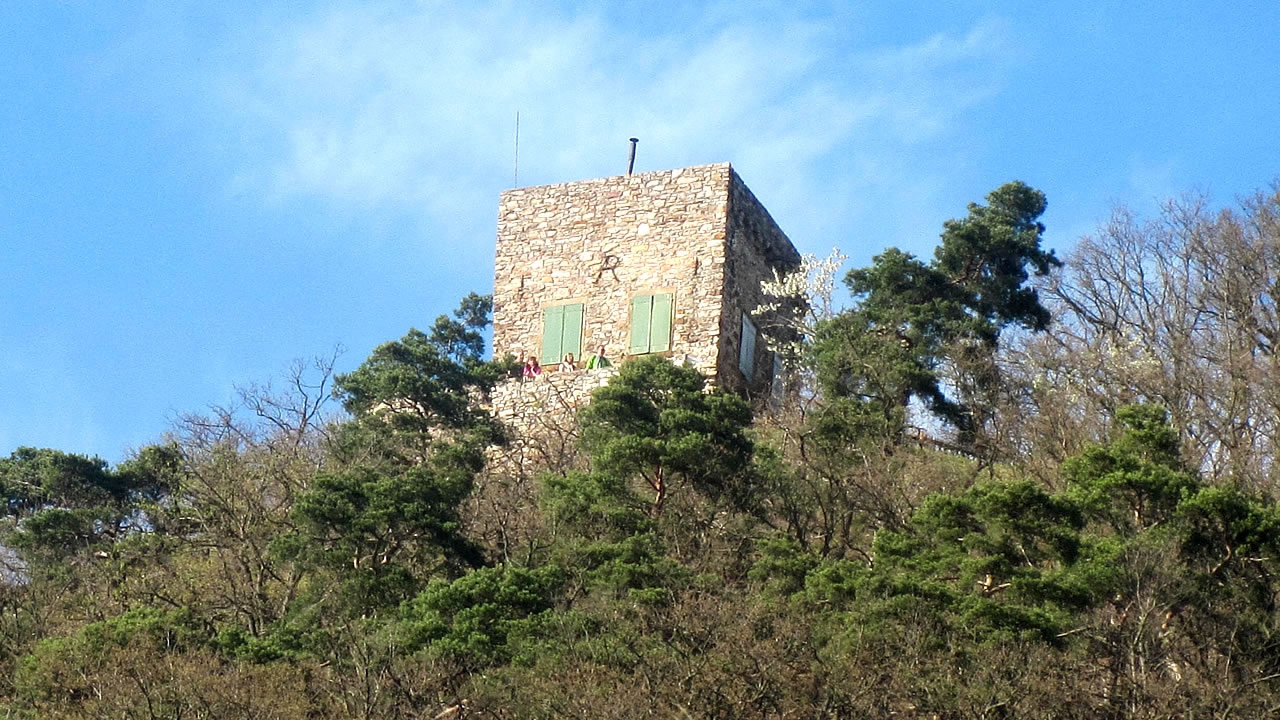 Die Burgruine Rossel am Niederwald