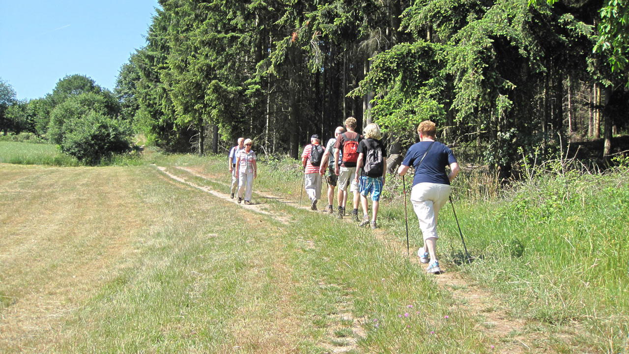 Waldweg