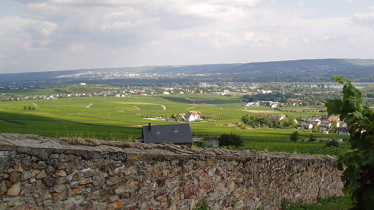 Herrlicher Blick Ã¼ber das Rheintal