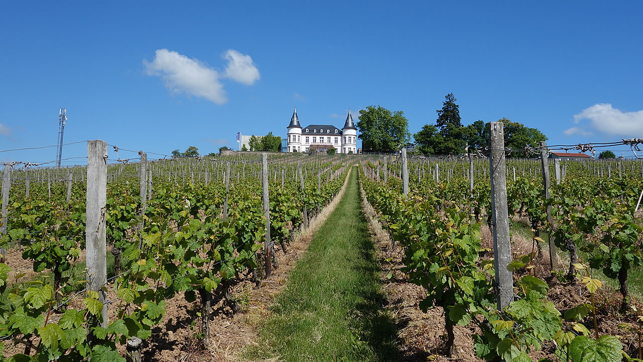 Schloss Hansenberg