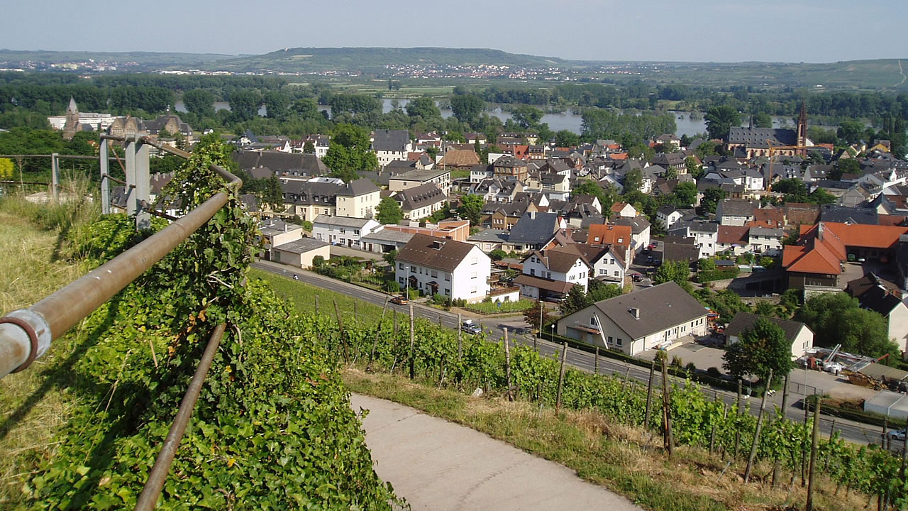 Blick auf Geisenheim