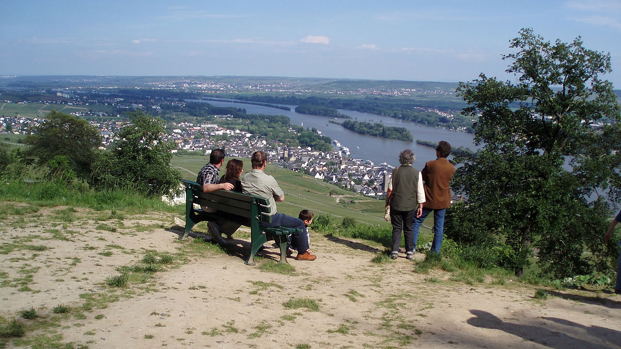 Aussicht vom Niederwald ins Rheintal