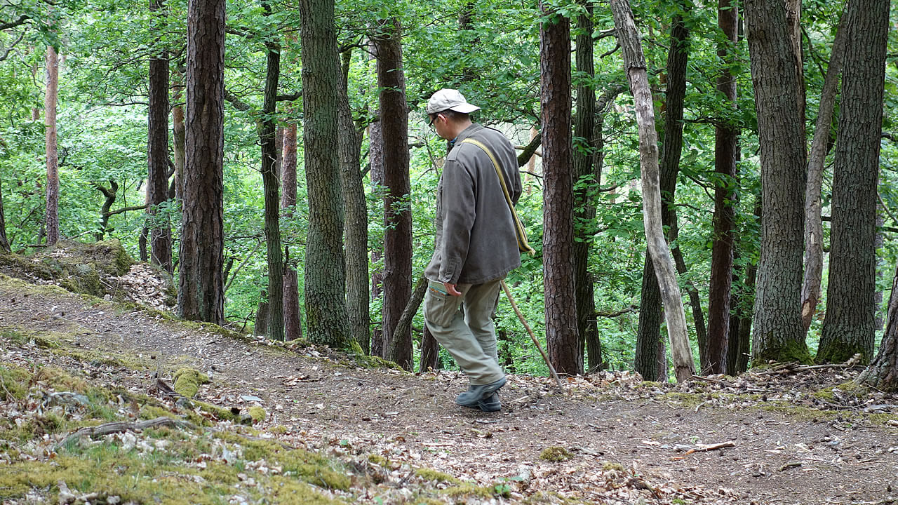 durch den Wald zur Ruine Rheinberg