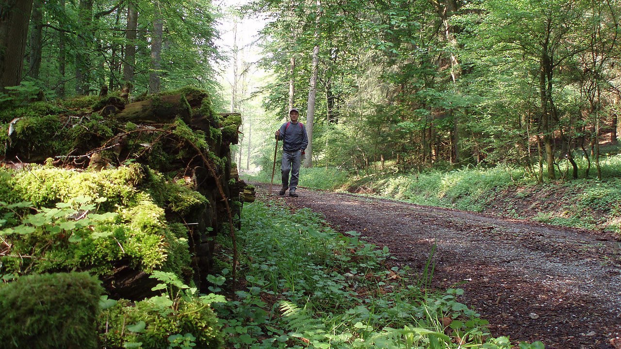 Rheinhöhenweg