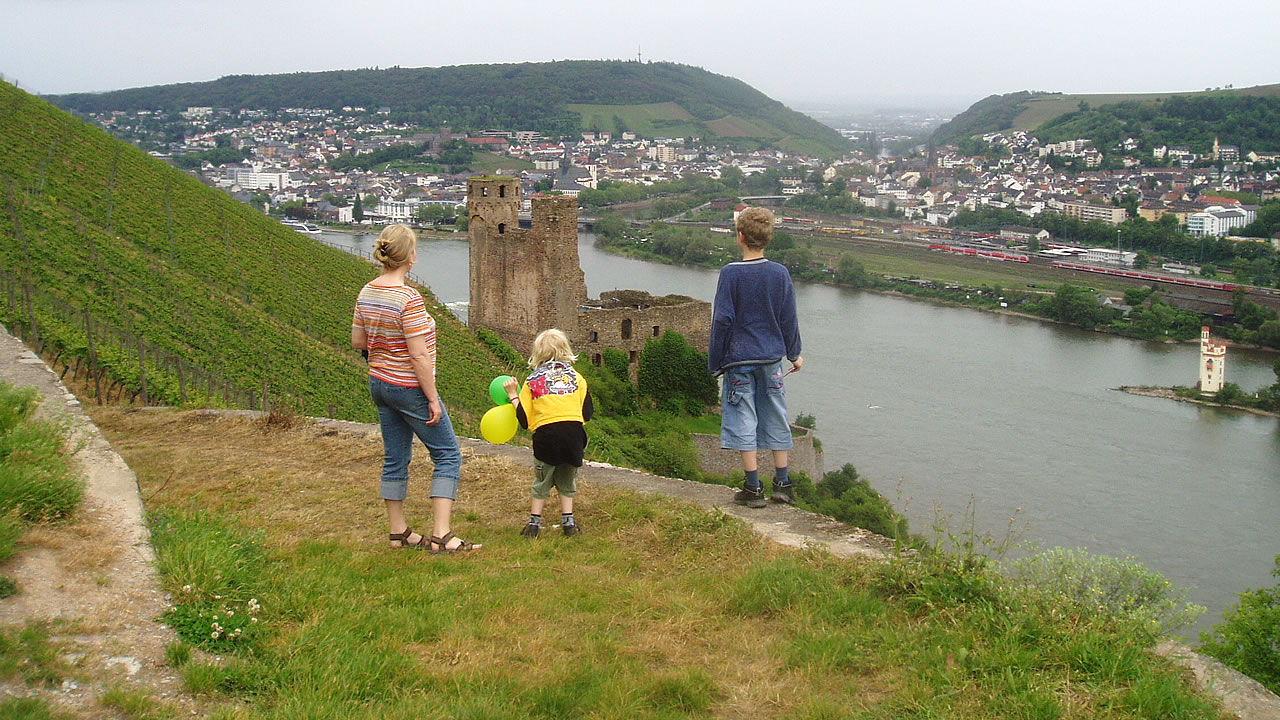 Blick auf die Burg Ehrenfels