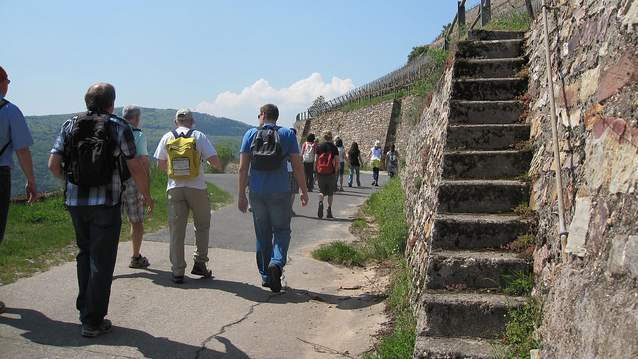 Wanderwege bei Rüdesheim