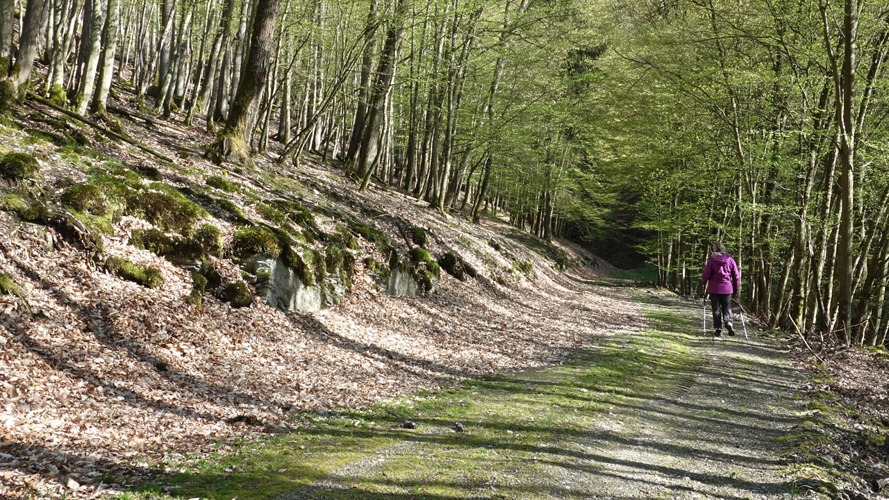 Waldweg