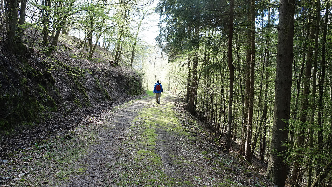 Waldweg