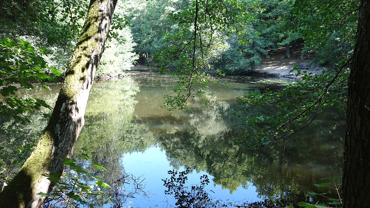 Offermann Weiher