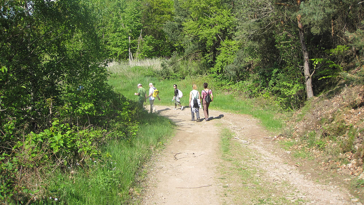 Der Weibspfadweg