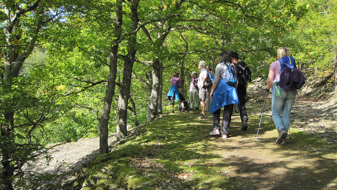 Wandern um Espenschied