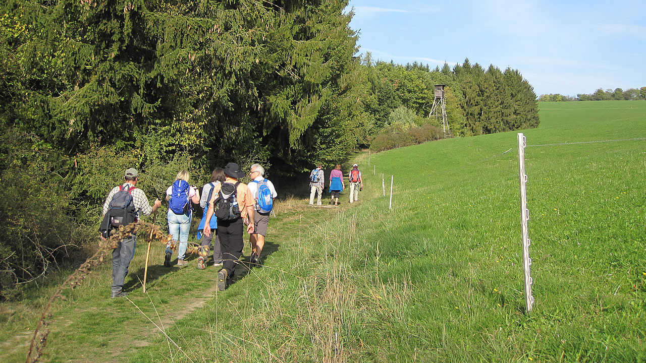 Wandern um Espenschied