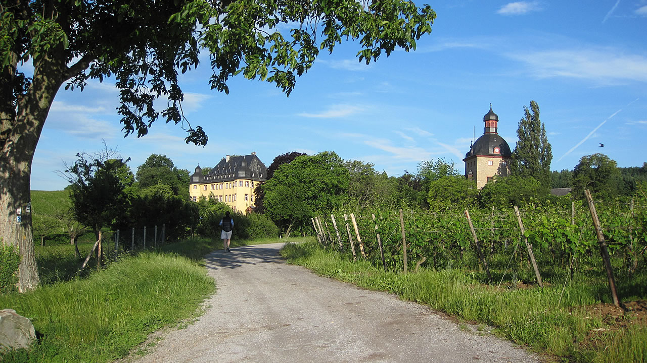 Schloss Vollrads